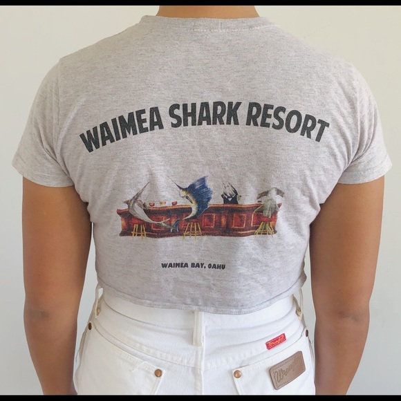 Brandy Melville gray crop top - Picture 2 of 4